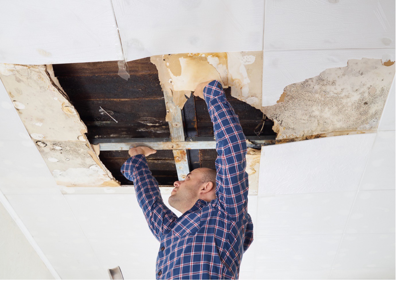 Ahmed examines a collapsed, water-damaged ceiling caused by severe mold and a leaky roof.